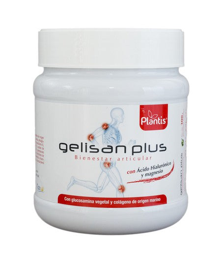 Gelisan Plus